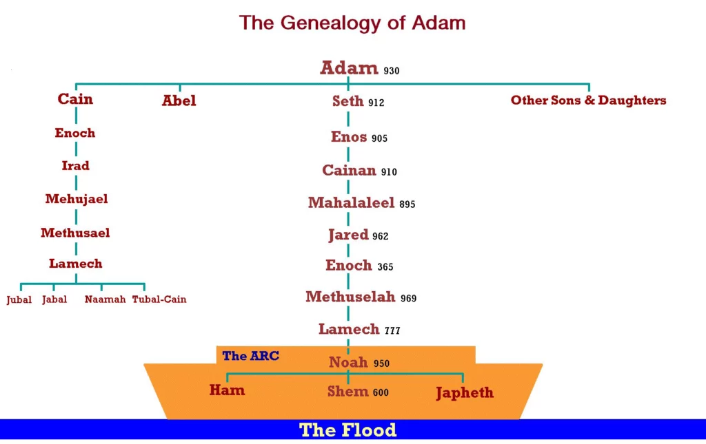 the-geneology-of-adam